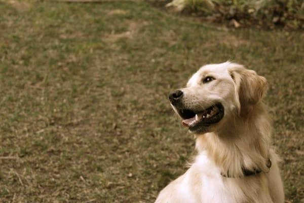 photo of Jonathan V.