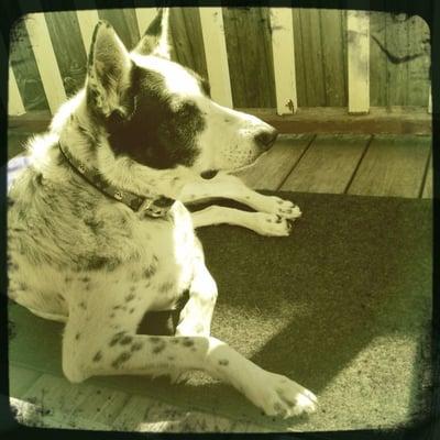 Photo of Amy K.
