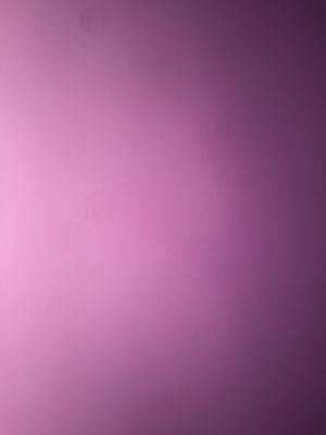 Photo of Nour S.