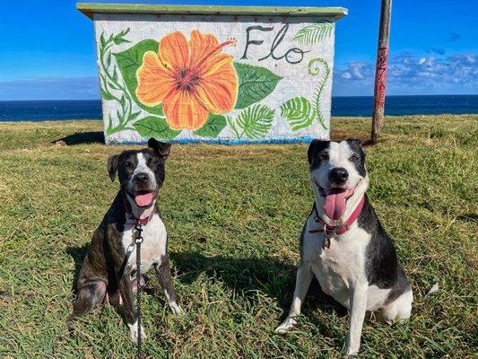 Photo of Lovey And Millie H.