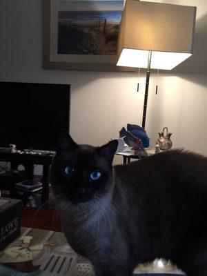Photo of Stephanie T.