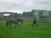 photo of Barbara P. W.