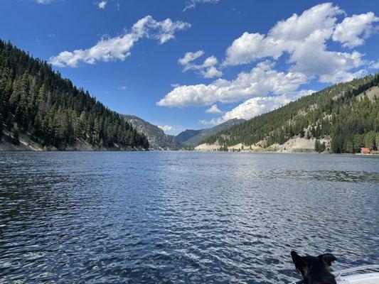 photo of Michelle L.