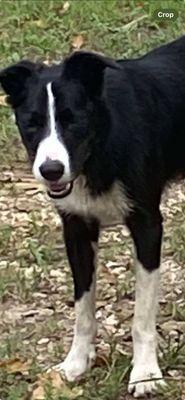 Photo of Roderica G.