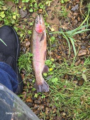 photo of Mark Xavier M.