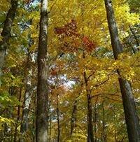 photo of Adrienne J.