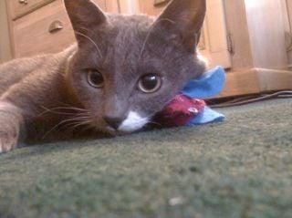 Photo of Jennifer D.