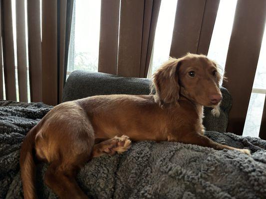 photo of Jennifer R.