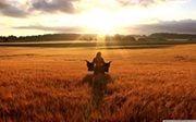 Photo of Good S.