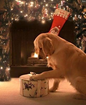 photo of Kathleen H.