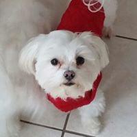 Photo of Bonnie N.