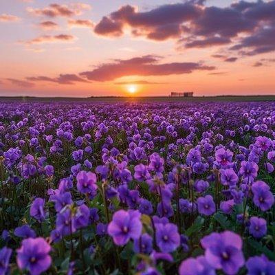 photo of La'Quinta M.