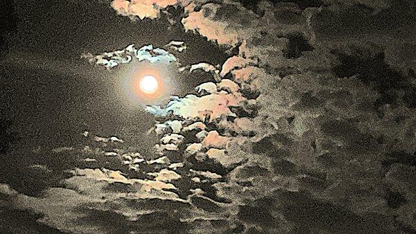 photo of Danielle S.