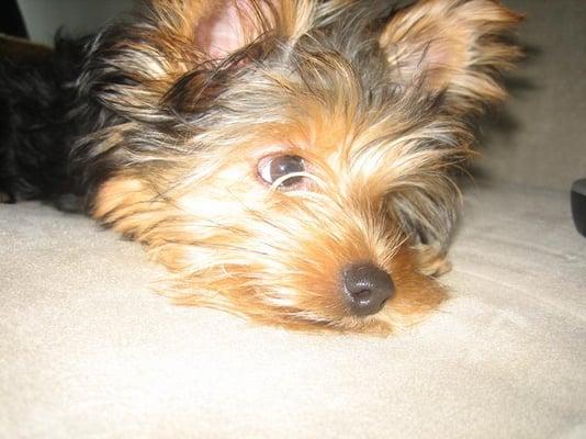 Photo of Kia W.