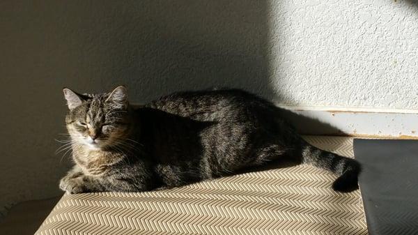 photo of Michelle W.