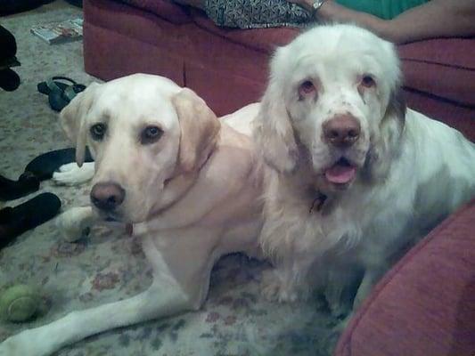 photo of Alexandra D.