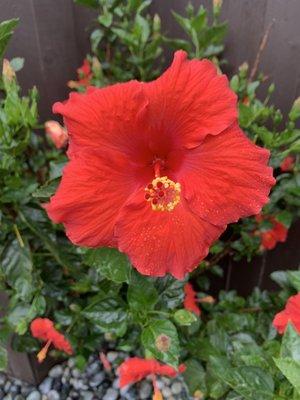 photo of Catherine H.