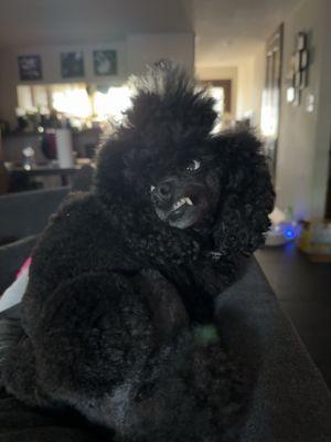 photo of Christina Phazero C.