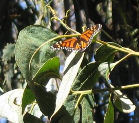 Photo of Rachel T.