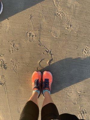 photo of Charlotte A.