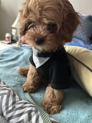 photo of DeShannon D.