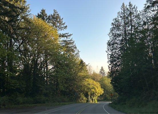 photo of Robert D G.