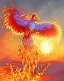 photo of Jennifer L.