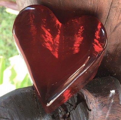 photo of Rachelle K.