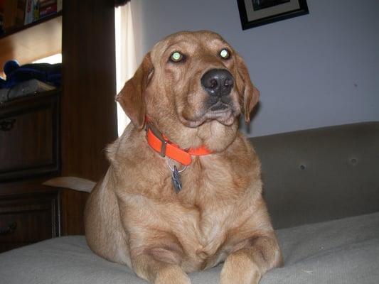 photo of Stephanie M.