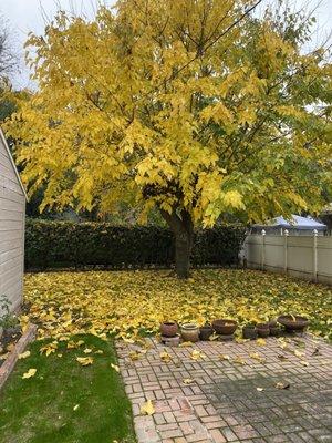 photo of Hilari Titia N.