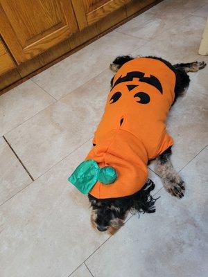 photo of Scharlene T.