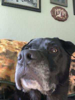 Photo of Moody Foody K.