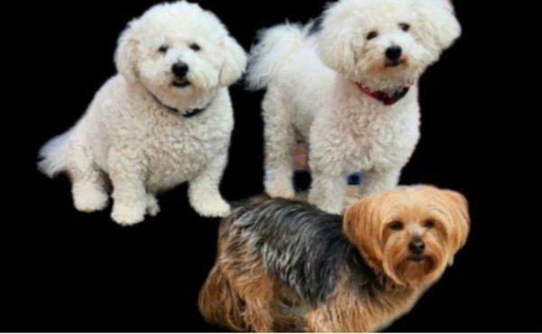 photo of Tituskayo ..