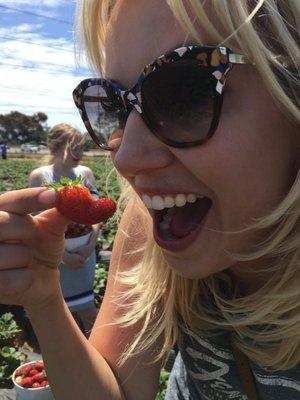 Photo of Kristin S.