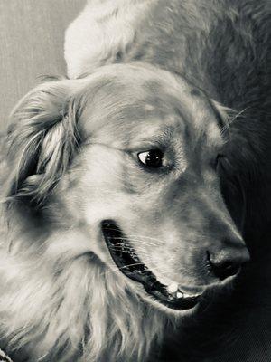 Photo of Caleb C.
