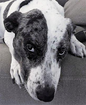 Photo of Wendy S.