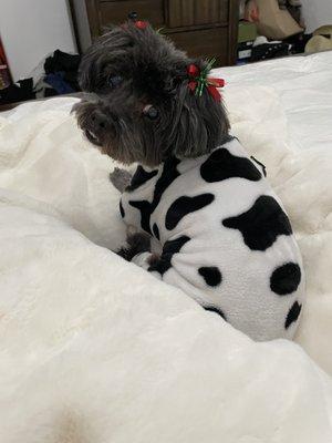 Photo of Coco A.