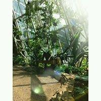 Photo of Courtney R.