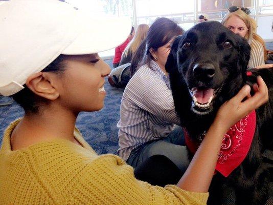 photo of Brittany B.