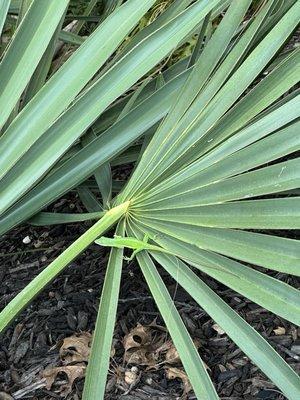 photo of Katherine C.