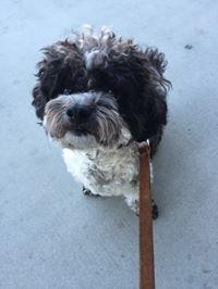 Photo of Luna D.