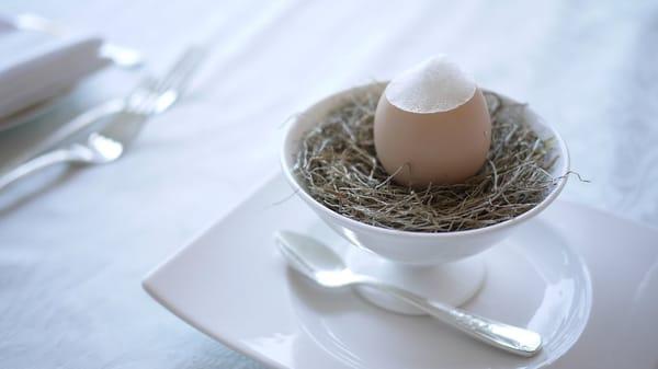 Photo of Yummy Y.