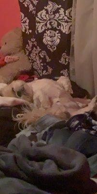 photo of Christina B.