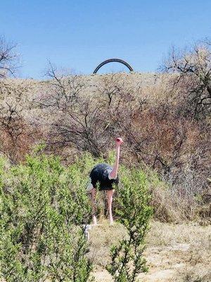 photo of Archaeolo_she ..