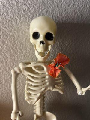 photo of Catherine F.