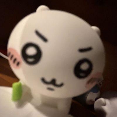 photo of Watermelon head