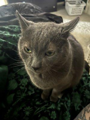 photo of Christine H.