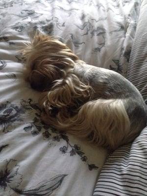 photo of Christine C.