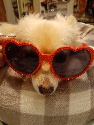 Photo of Kimberly H.