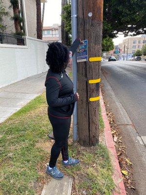 Photo of Niambi M.